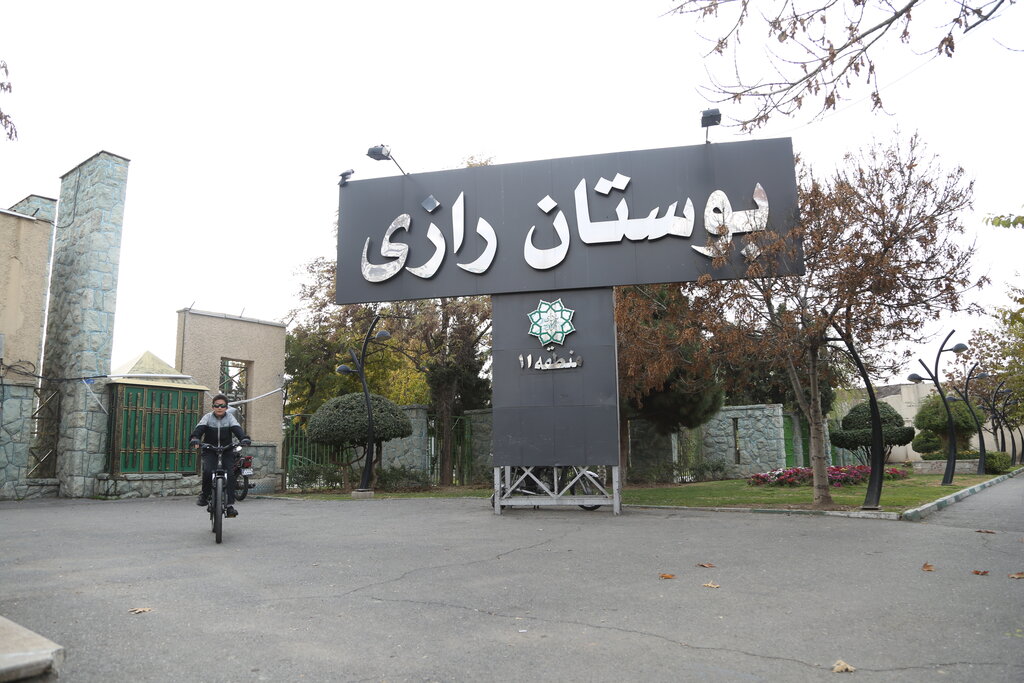 پلاک طهرون |گمرک؛ روایت تاریخ تجارت تهران پلاک طهرون |گمرک؛ روایت تاریخ تجارت تهران