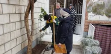 هدیه بیش از ۱۰ هزار اصله درخت به شهروندان
