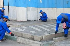 اجرای طرح مبارزه با حیوانات موذی