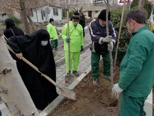 کاشت نهال در ناحیه ۳ منطقه ۱۷