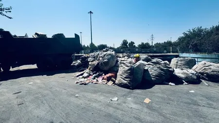 جمع‌آوری ۲۰ مرکز و ۲۳۴ وسیله غیرمجاز پسماند
