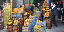 الزام صدور فاکتور رسمی برای عمده‌فروشان میوه