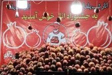 برگزاری بزرگ‌ترین کنسرت خیابانی در شرق تهران