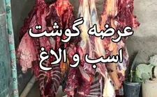 کشف ۲۵۴ کیلو اسب و الاغ
