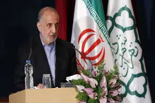 ممنوعیت کاشت درختان سوزنی‌برگ در تهران ادامه دارد