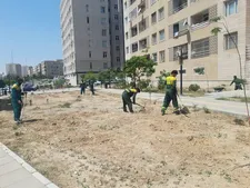 استفاده بهینه از اراضی منطقه ۲۲