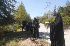 غرس نهال‌های مثمر در بوستان جوانمردان تهران