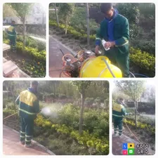 کنترل آفات درختچه‌های بوستان‌های منطقه ۱۷