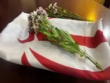 توزیع ۳۰۰ تخته پرچم ایران در مدارس دولتی تهران