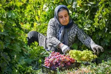 روستا‌ها محور اصلی امنیت غذایی کشور هستند