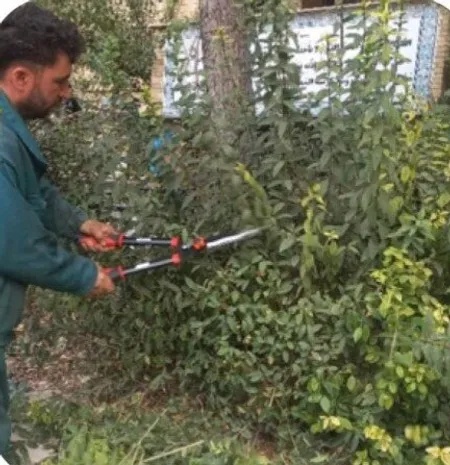 ساماندهی فضای سبز مدارس برای آغاز مهرماه