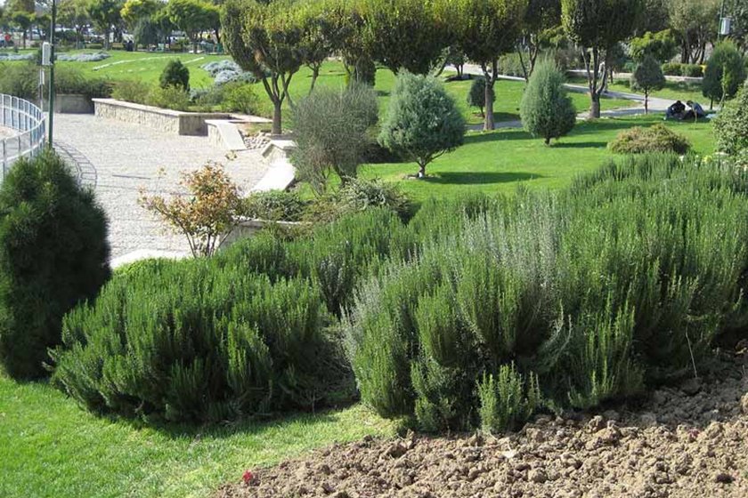 بوستان المهدی (عج)؛ از قایقرانی تا سبزیکاری بوستان المهدی (عج)؛ از قایقرانی تا سبزیکاری