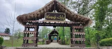 بوستان توسکا؛ تکه‌ای از جنگل در جنوب پایتخت