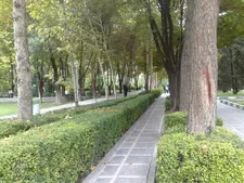 بوستان شهید رجایی منطقه ۱۶