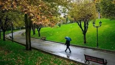 کمبود فضای سبز در برخی محله‌های تهران