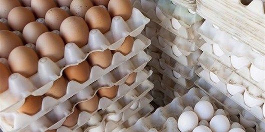 ۱۳۹۹۱۰۲۷۰۰۰۳۴۳_Test_PhotoJ